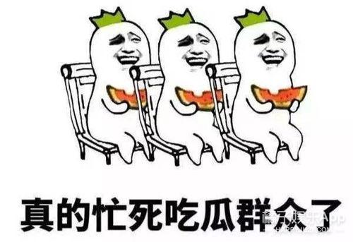 吃瓜群众比例是多少,揭秘社会现象背后的真相