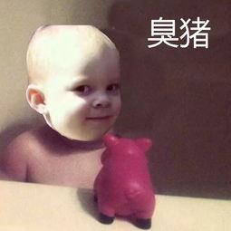 暴走吃瓜头像男生,揭秘校园风云背后的秘密