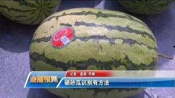 米哥吃硒砂瓜,硒砂瓜背后的神奇元素之旅