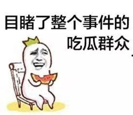 有创新的吃瓜群众,创意吃瓜指南