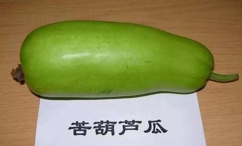 吃瓜啦瓜有苦也有甜,品味生活中的苦与甜