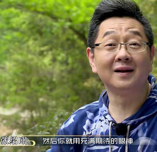 张绍刚在线吃瓜,揭秘娱乐圈幕后故事