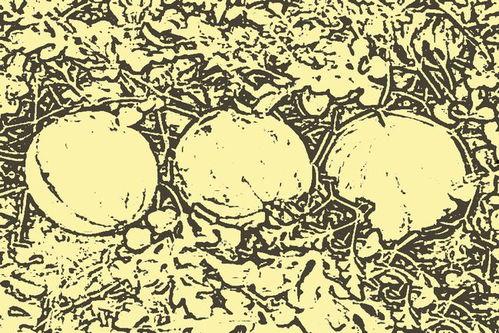 乞丐吃瓜的故事,乞丐吃瓜的传奇故事