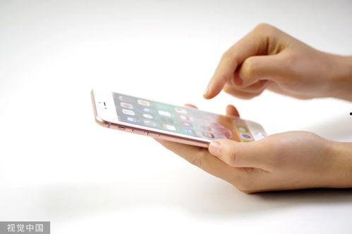 吃瓜吃到续费,一瓜未了再续费！揭秘瓜友们的疯狂续费之路