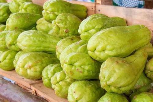 一颗佛手瓜可以吃吗,美味与营养并存，一颗瓜的食用奥秘