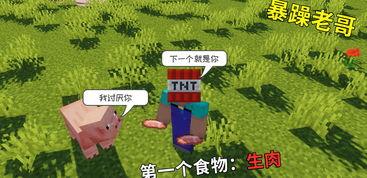 mc玩家吃瓜,揭秘游戏圈那些不为人知的幕后故事