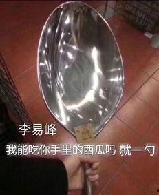 大勺子小勺子吃瓜,趣味吃瓜记