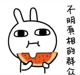 姊妹吃瓜文案搞笑,快来吃瓜！笑料横飞，笑到肚子疼！  第2张