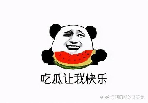 姊妹吃瓜文案搞笑,快来吃瓜！笑料横飞，笑到肚子疼！  第3张